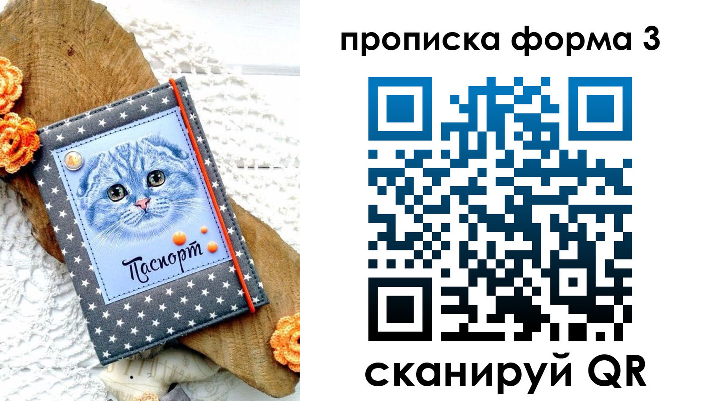 прописка поиск в Химках